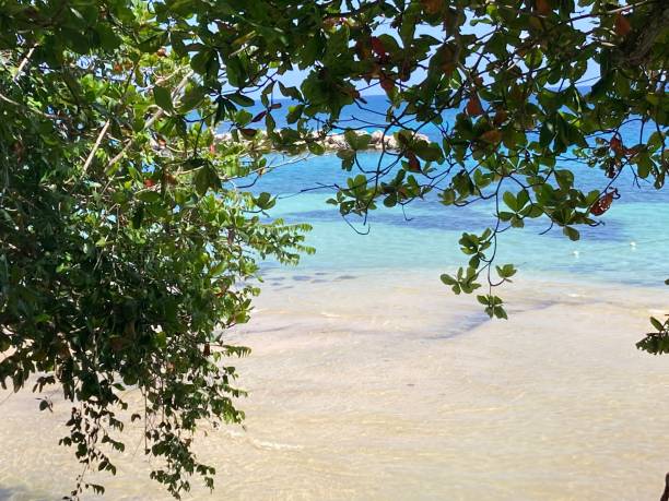 istock Jamaica - Ocho Rios - Dunn’s river beach 1419003828