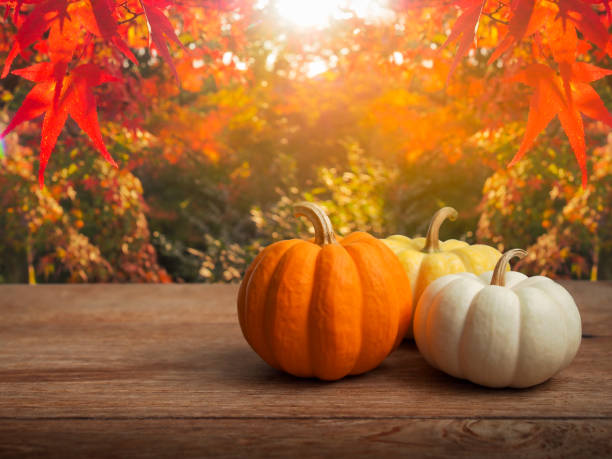 istock Decorative pumpkins on a rustic wooden table in autumn concept. 1419004563