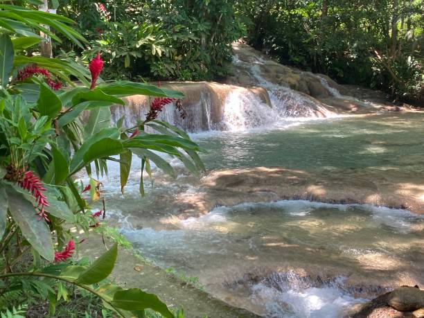 istock Jamaica- Ocho Rios- Dunn’s river fall 1419005532