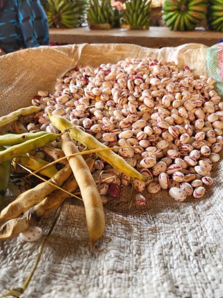 istock White bean stall at kimisagara market Kigali Rwanda 1419009855