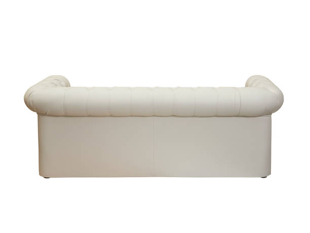 istock beige leather couch in vintage style isolated on white background, back view 1419011493