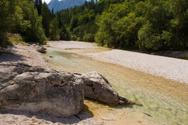 rzeka pisnica w kranjska gora, słowenia - cumulus cloud lake water forest zdjęcia i obrazy z banku zdjęć