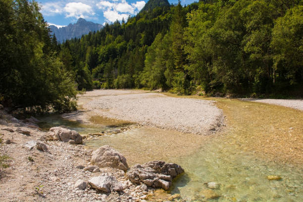 istock Pisnica River in Kranjska Gora, Slovenia 1419015346