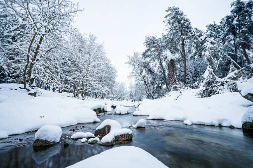 Flowing river in wintry forest