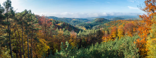 istock Panoramic view of colorful vivid deciduous beech and pine tree forest and hills from viewpoint called Vyhlidka na Rip at nature park Kokorinsko, Czech republic. Autumn sunny day. 1419021330