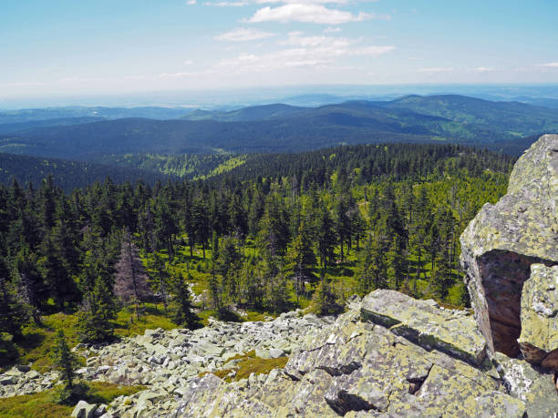 istock Krkonose mountains view scenery with granite rock and spruce tree 1419022188