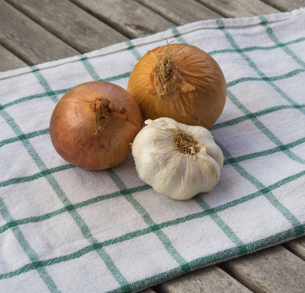 istock two onion and whole garlic on canvas dish towel on wooden table 1419022312