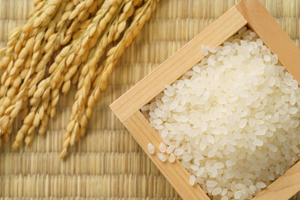 japanischer weißer reis auf tatamimatte - rice paddy rice food short grain rice stock-fotos und bilder