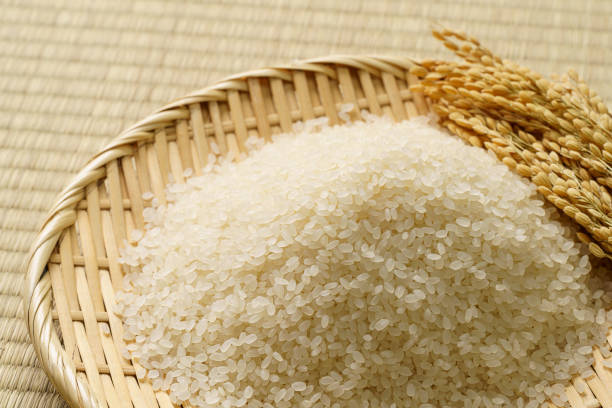 istock Japanese white rice on tatami mat 1419024583