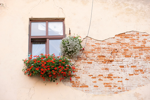 A typical French window with flowers and flower boxes.