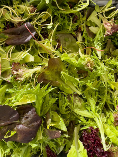 istock Farmer’s Market Vegetables 1419026090