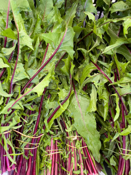 istock Farmer’s Market Vegetables 1419026139