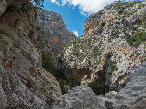 view of Gola Su Gorropu gorge with limestone rock walls, green bush and trees. Famous tourist hiking destination at Supramonte Mountains, Nuoro, Sardinia, Italy. Summer.
