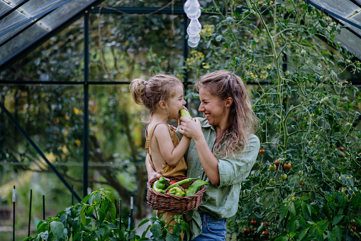 A happy mother with little daughter tasting fresh harvest when standing in a greenhouse