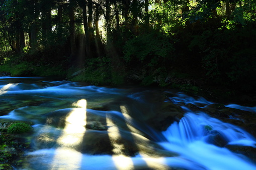 A summer mountain stream with rays of light