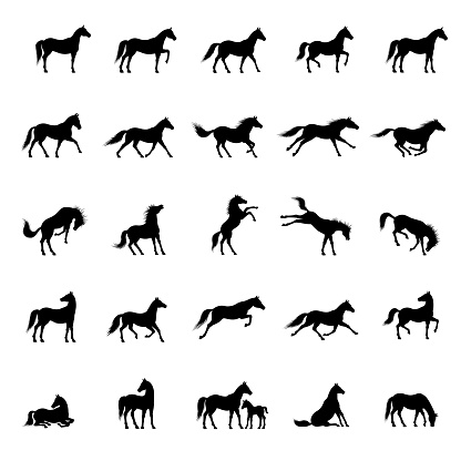 Set of horses icons. High Resolution JPG, EPS 10 included. Each element is named, grouped and layered separately. Very easy to edit.