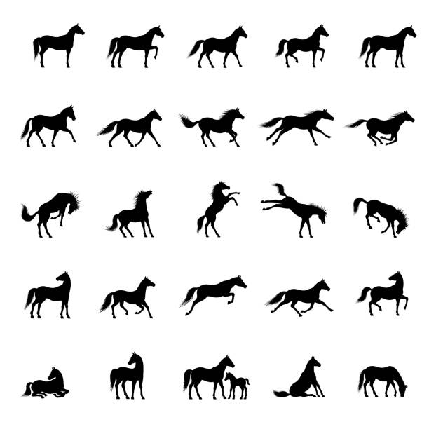 Horse Icon Set Set of horses icons. High Resolution JPG, EPS 10 included. Each element is named, grouped and layered separately. Very easy to edit. horse outlines silhouette stock illustrations