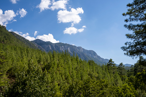 nature landscape , green forests high mountains and blue sky in Turkey