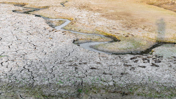istock Cracked soil of a dried up river 1419039378