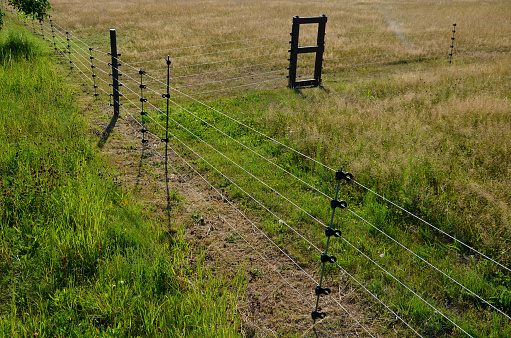 fencing with barrier-free access for seniors and the immobile. safari zoo with a large paddock for large dangerous mammals of Przewalski's horse. electric fence, tension spring, sheeps, meadow, alley, discharge, precision,  lawn, flock, herd
