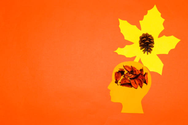 autumn design, paper head with an autumn brain, from the head a maple cloud with a cone in it, autumn is coming, flat lay, copy space
