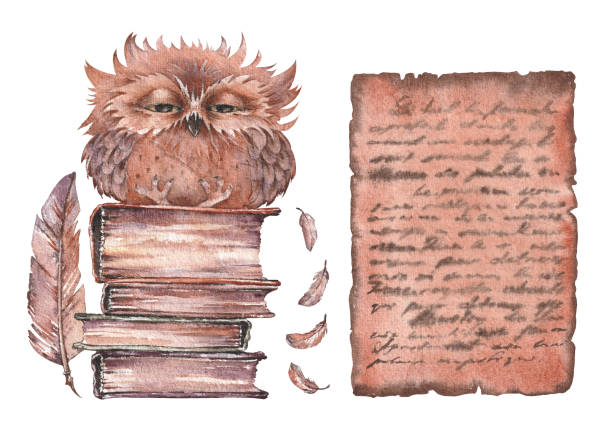Vintage parchment paper, old books and cute owl. Vintage parchment paper, old books and cute owl. Watercolor illustration isolated on white background. ancient writing tool stock illustrations