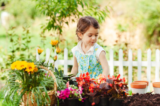 istock Little girl potting flowers 1419053216