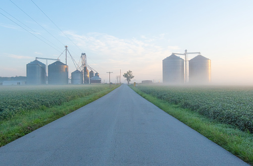 Country Road with Grain Bins and fog-Howard County, Indiana