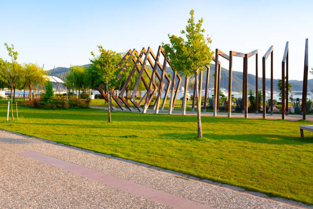 Beautiful park with fresh green grass and trees for background
