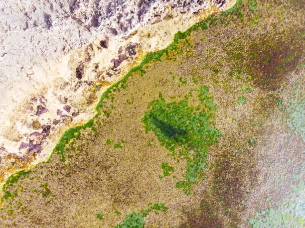 istock Pearses Beach Aerial in Australia 1419054402