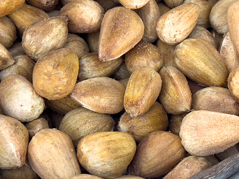 Horizontal high angle closeup photo of Australian native nuts from the Bunya pine tree on a stall at a weekly Farmer’s market in Spring. Byron Bay, subtropical north coast of NSW. Bunya nuts are a traditional food source for some Australian Indigenous people.
