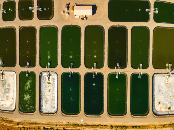 industrial aerial western usa oczyszczalnia ścieków seria zdjęć - chlorowanie zdjęcia i obrazy z banku zdjęć