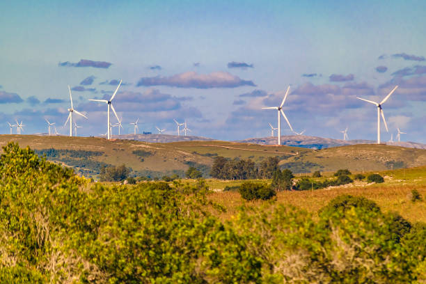 istock Windmillls at Countryside Landscape, Uruguay 1419065436