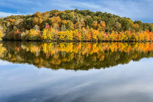 istock Fall Colors From Hilly Forest Reflect In North Georgia Lake 1419070888