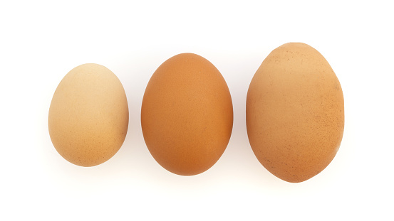 Medium, large, and oversized chicken egg on white