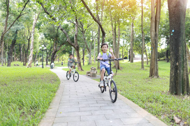 istock Brother riding bikes in city park 1419071416