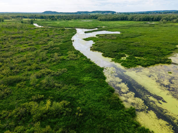 istock Natural Wilderness in Wisconsin away from mankind 1419071754