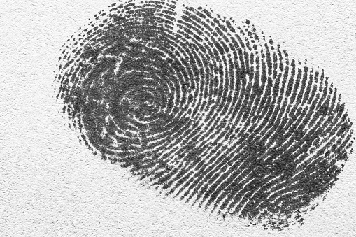 macro black human fingerprint,Black macro fingerprint,Fingerprint detail,Real fingerprint in white background Super macro