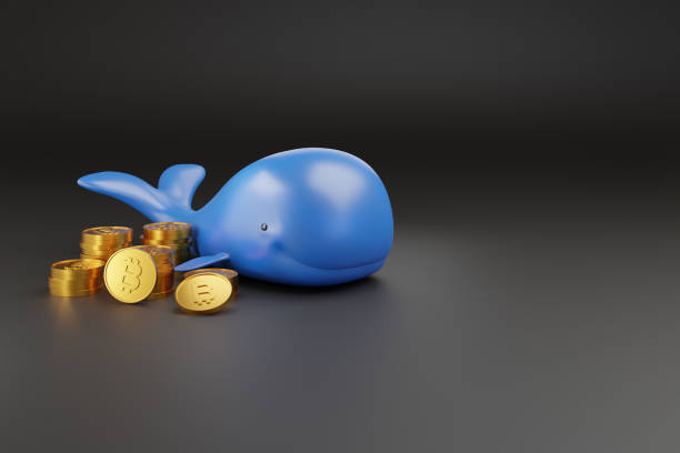 istock Cartoon whale with bitcoin coins with copy space. 3d illustration. 1419075401