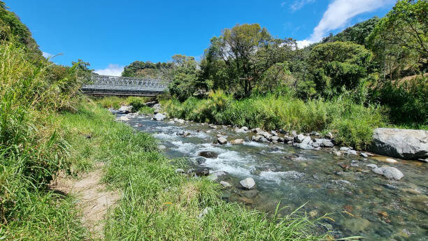 istock Panama, Chiriqui province, iron bridge over the Caldera creek 1419076502