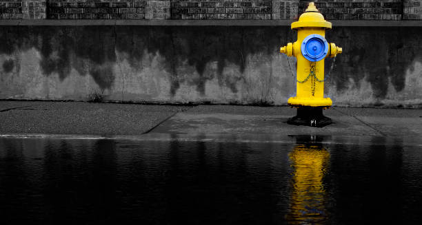 istock Yellow Fire Hydrant Reflected in Pool of Water Flood 1419077858