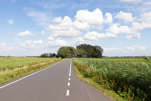 Country road through the flat polder landscape in the Netherlands.