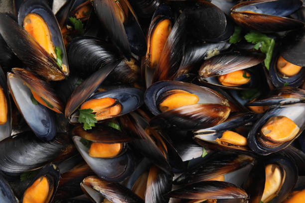 istock Delicious cooked mussels with parsley as background, closeup 1419088630