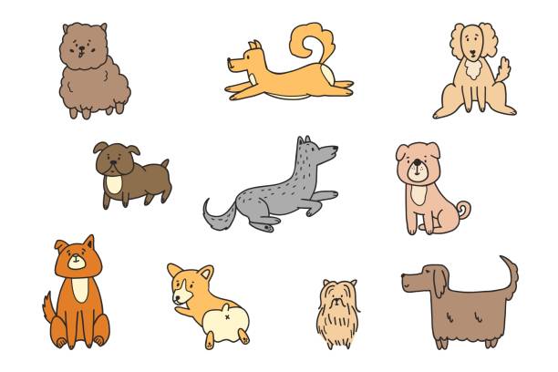 süße hunde doodle vektor set. - color image retriever illustration technique horizontal stock-grafiken, -clipart, -cartoons und -symbole