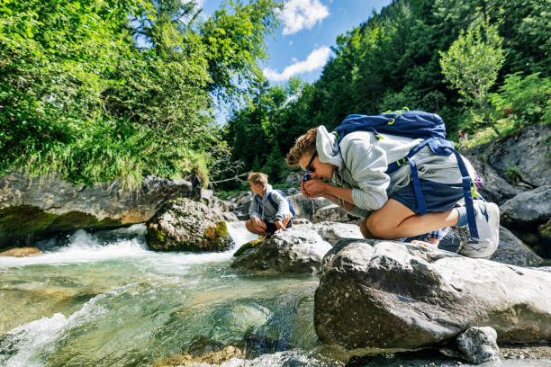 nastoletnie dzieci wędrujące po austriackich górach - alpy, tyrol, austria. - tirol zdjęcia i obrazy z banku zdjęć