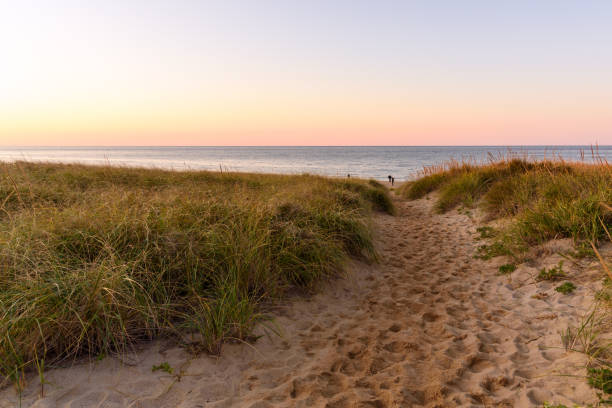 istock Deserted footpath through grassy sand dunes 1419093746