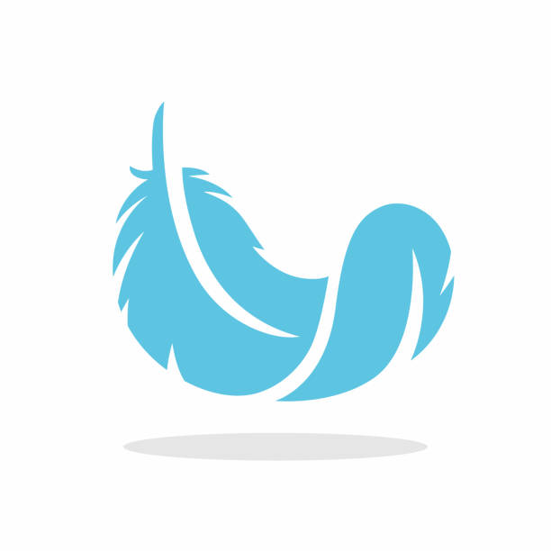 Soft feather vector icon Soft floating feather icon. Vector illustration. feather vector illustration stock illustrations