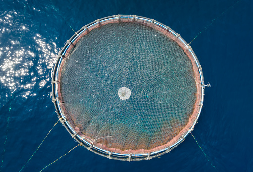 Aerial top view of a round fish cage at a fish farm in the mediterranean sea