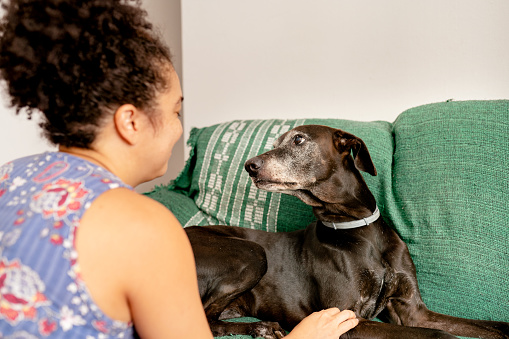 Woman smiling and petting her dog while sitting together on a sofa at home