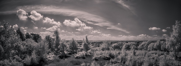 A panoramic shot of the Perry Wood in Faversham, England with lush trees and a sky in the background